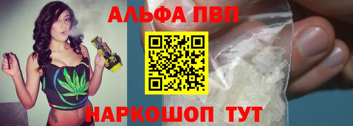 A PVP СК КРИС Искитим