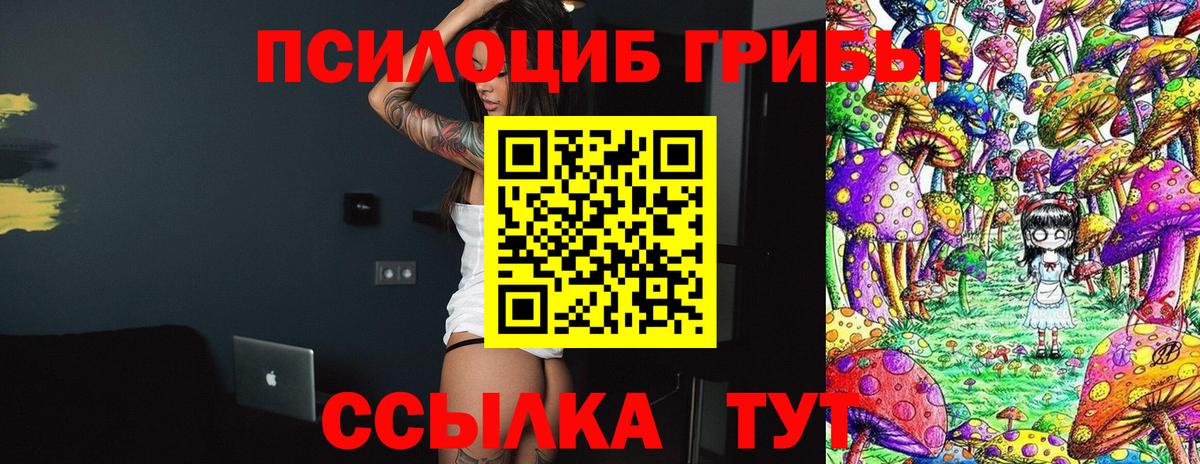 Псилоцибиновые грибы Psilocybine cubensis Искитим