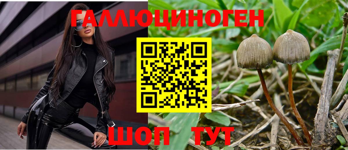 Искитим  Галлюциногенные грибы мухоморы  Псилоцибиновые грибы Psilocybine cubensis  Вход с VPN 